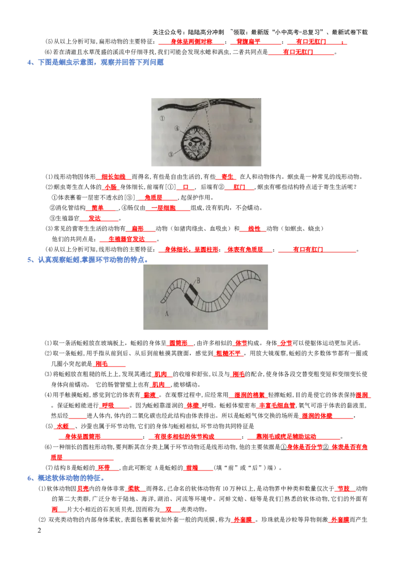专题05生物圈中的其他生物（背诵版）_02中考总复习（2026版更新中）_08-生物-中考总复习_2025中考复习资料_2025年中考生物知识梳理_专题05生物圈中的其他生物_专题05生物圈中的其他生物