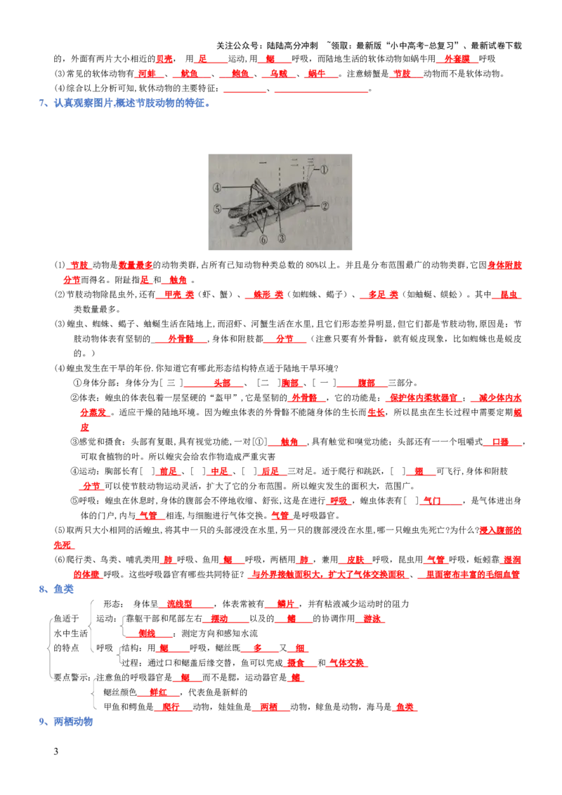专题05生物圈中的其他生物（背诵版）_02中考总复习（2026版更新中）_08-生物-中考总复习_2025中考复习资料_2025年中考生物知识梳理_专题05生物圈中的其他生物_专题05生物圈中的其他生物