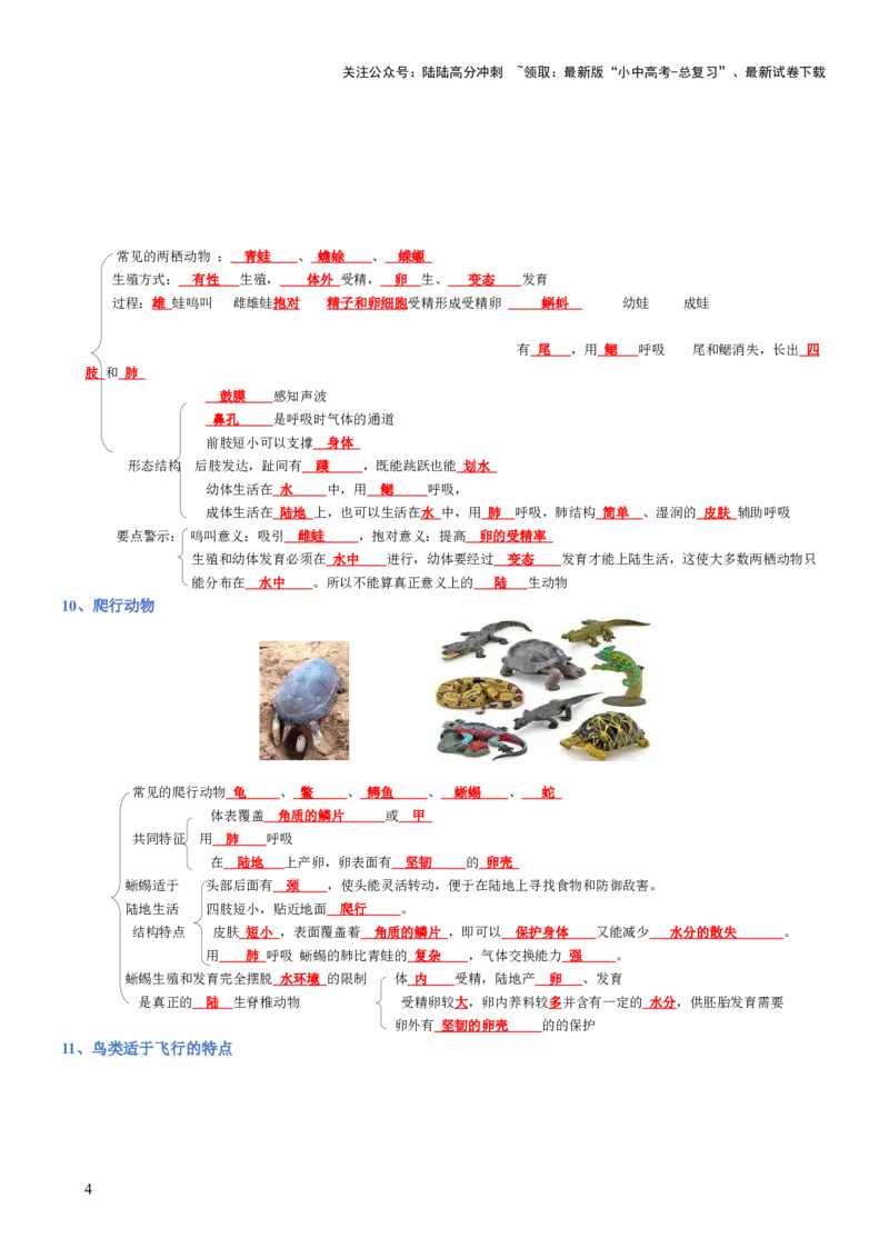 专题05生物圈中的其他生物（背诵版）_02中考总复习（2026版更新中）_08-生物-中考总复习_2025中考复习资料_2025年中考生物知识梳理_专题05生物圈中的其他生物_专题05生物圈中的其他生物