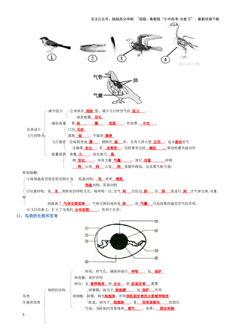 专题05生物圈中的其他生物（背诵版）_02中考总复习（2026版更新中）_08-生物-中考总复习_2025中考复习资料_2025年中考生物知识梳理_专题05生物圈中的其他生物_专题05生物圈中的其他生物