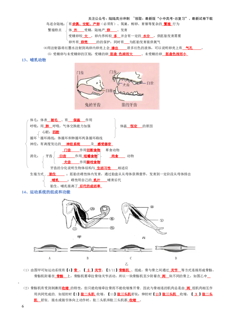 专题05生物圈中的其他生物（背诵版）_02中考总复习（2026版更新中）_08-生物-中考总复习_2025中考复习资料_2025年中考生物知识梳理_专题05生物圈中的其他生物_专题05生物圈中的其他生物