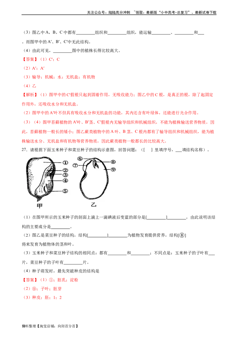 专题04生物圈中有哪些绿色植物（习题精练）（解析版）_02中考总复习（2026版更新中）_08-生物-中考总复习_2024年中考复习资料_一轮复习_配套练习（原卷版+解析版）_答案解析版