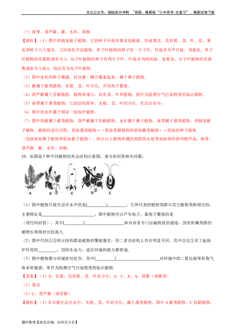 专题04生物圈中有哪些绿色植物（习题精练）（解析版）_02中考总复习（2026版更新中）_08-生物-中考总复习_2024年中考复习资料_一轮复习_配套练习（原卷版+解析版）_答案解析版