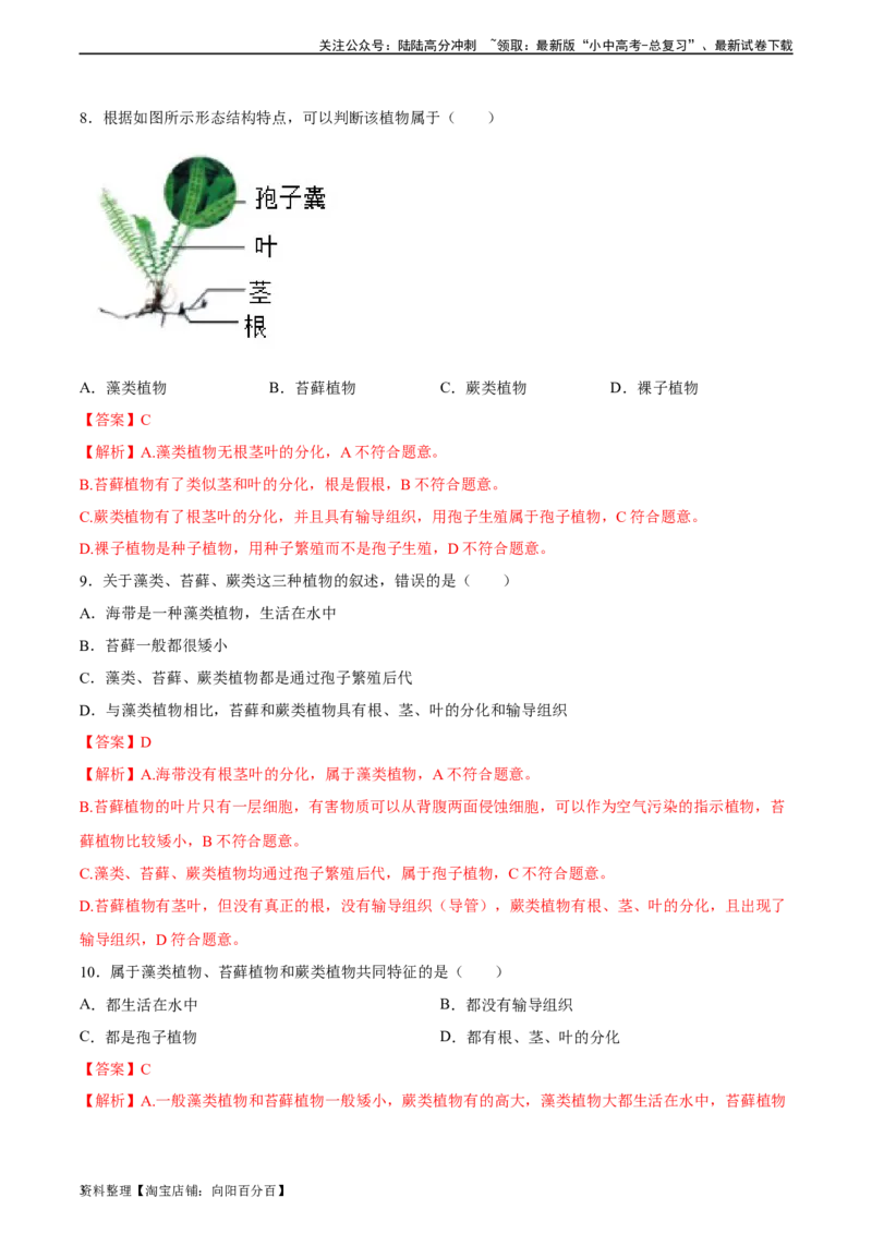 专题04生物圈中有哪些绿色植物（习题精练）（解析版）_02中考总复习（2026版更新中）_08-生物-中考总复习_2024年中考复习资料_一轮复习_配套练习（原卷版+解析版）_答案解析版