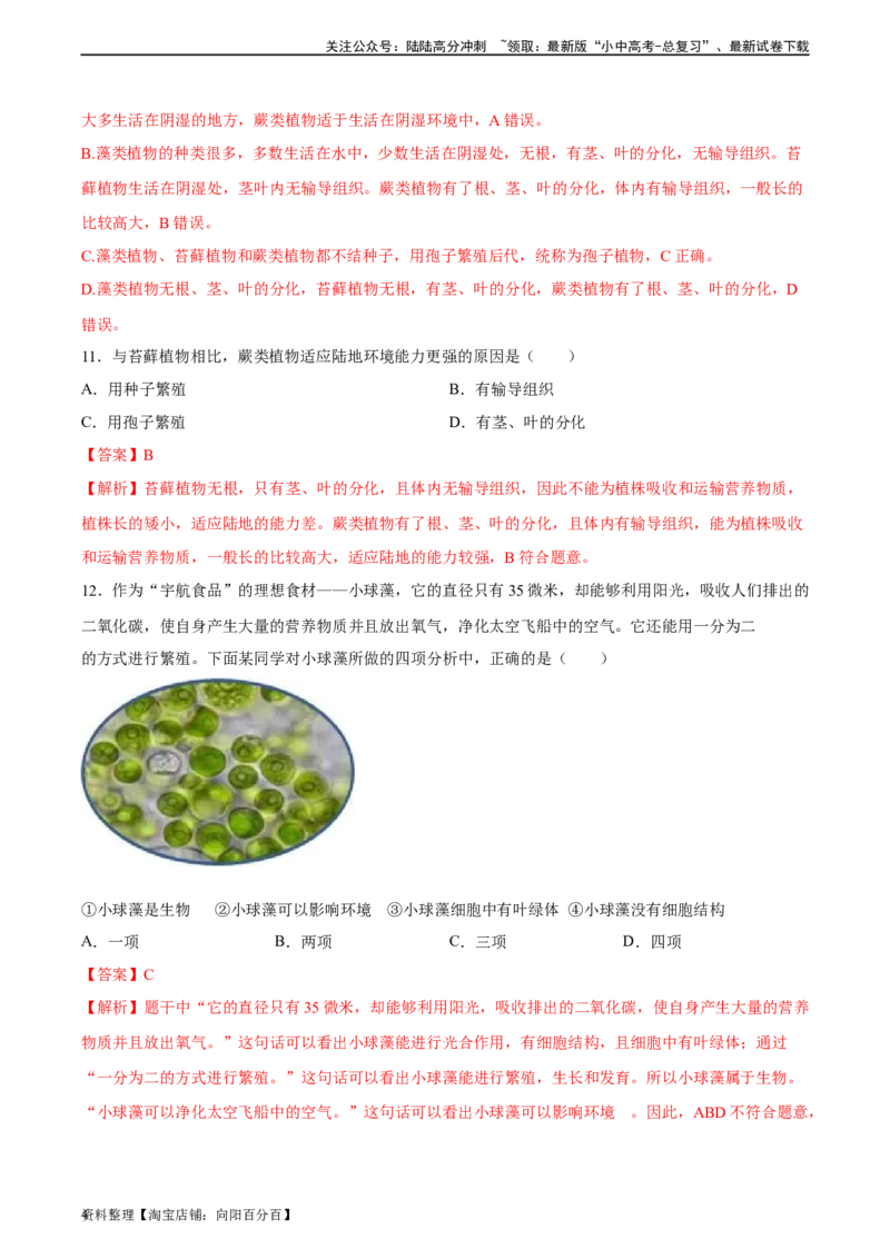 专题04生物圈中有哪些绿色植物（习题精练）（解析版）_02中考总复习（2026版更新中）_08-生物-中考总复习_2024年中考复习资料_一轮复习_配套练习（原卷版+解析版）_答案解析版