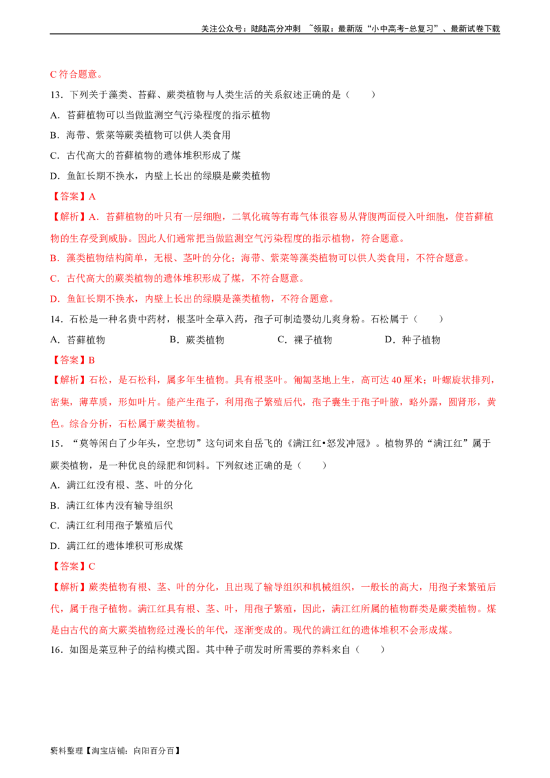 专题04生物圈中有哪些绿色植物（习题精练）（解析版）_02中考总复习（2026版更新中）_08-生物-中考总复习_2024年中考复习资料_一轮复习_配套练习（原卷版+解析版）_答案解析版