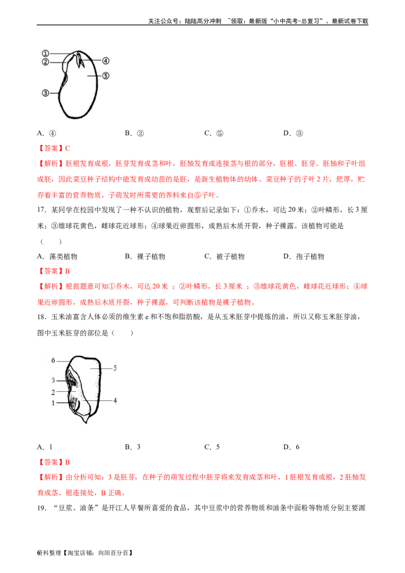 专题04生物圈中有哪些绿色植物（习题精练）（解析版）_02中考总复习（2026版更新中）_08-生物-中考总复习_2024年中考复习资料_一轮复习_配套练习（原卷版+解析版）_答案解析版