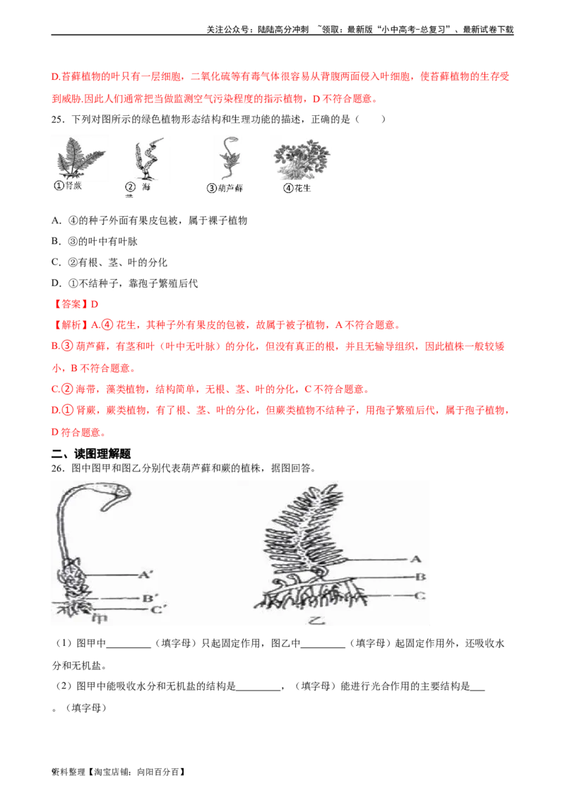 专题04生物圈中有哪些绿色植物（习题精练）（解析版）_02中考总复习（2026版更新中）_08-生物-中考总复习_2024年中考复习资料_一轮复习_配套练习（原卷版+解析版）_答案解析版