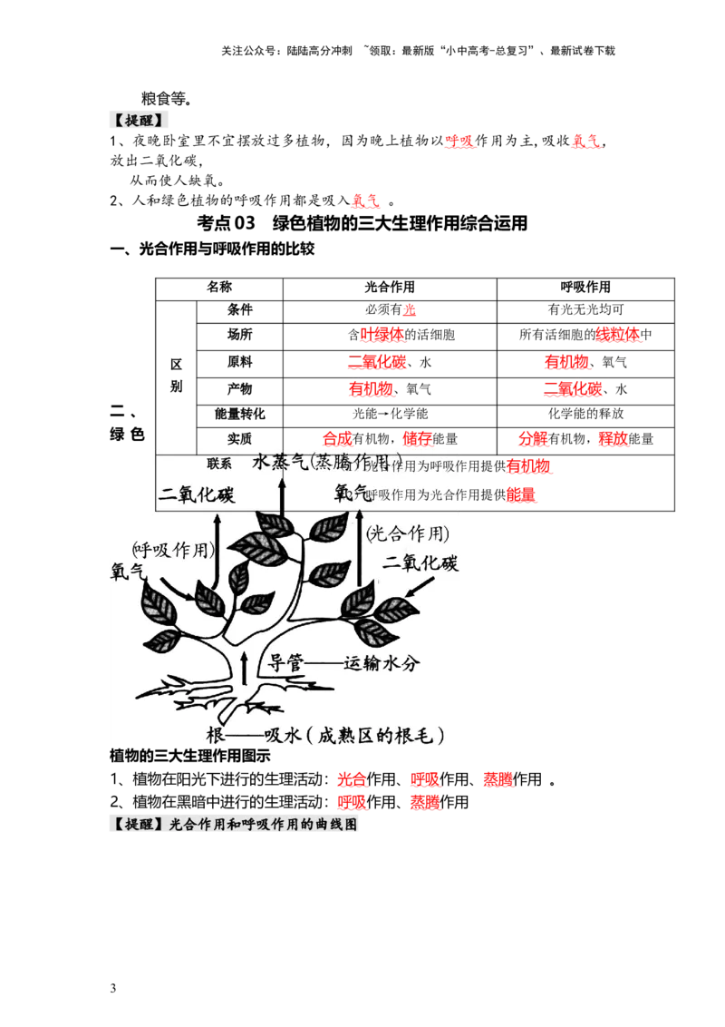 专题08绿色植物的呼吸作用（背记帮）-备战2024年中考生物一轮复习考点帮_02中考总复习（2026版更新中）_08-生物-中考总复习_2024年中考复习资料_一轮复习_必背考点