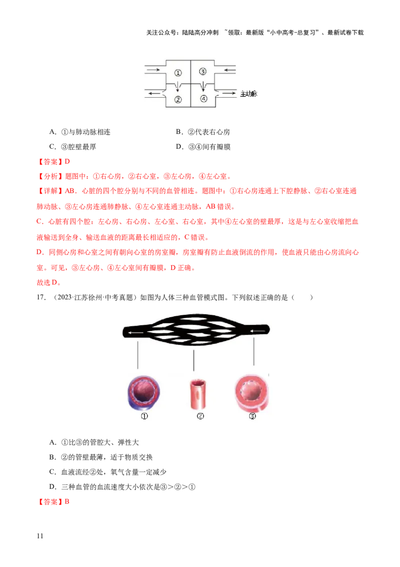 专题06人体内物质的运输及废物的排出（全国通用）（解析版）_02中考总复习（2026版更新中）_08-生物-中考总复习_2026年中考复习（更新中）