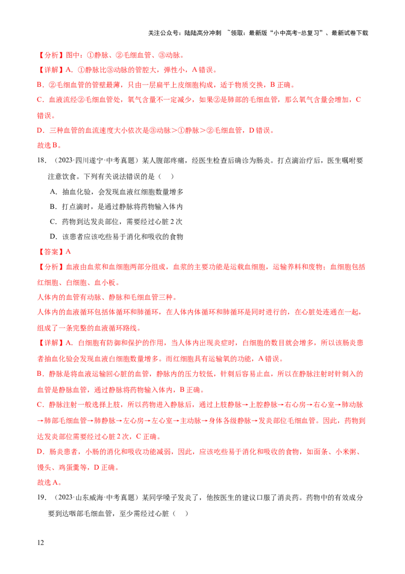 专题06人体内物质的运输及废物的排出（全国通用）（解析版）_02中考总复习（2026版更新中）_08-生物-中考总复习_2026年中考复习（更新中）