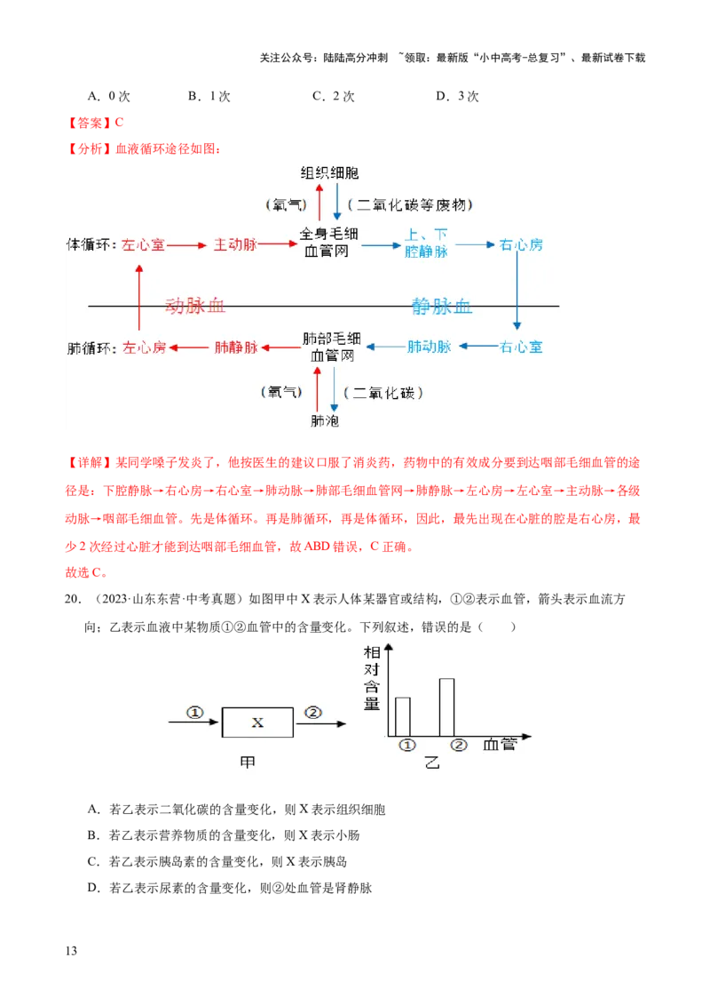 专题06人体内物质的运输及废物的排出（全国通用）（解析版）_02中考总复习（2026版更新中）_08-生物-中考总复习_2026年中考复习（更新中）