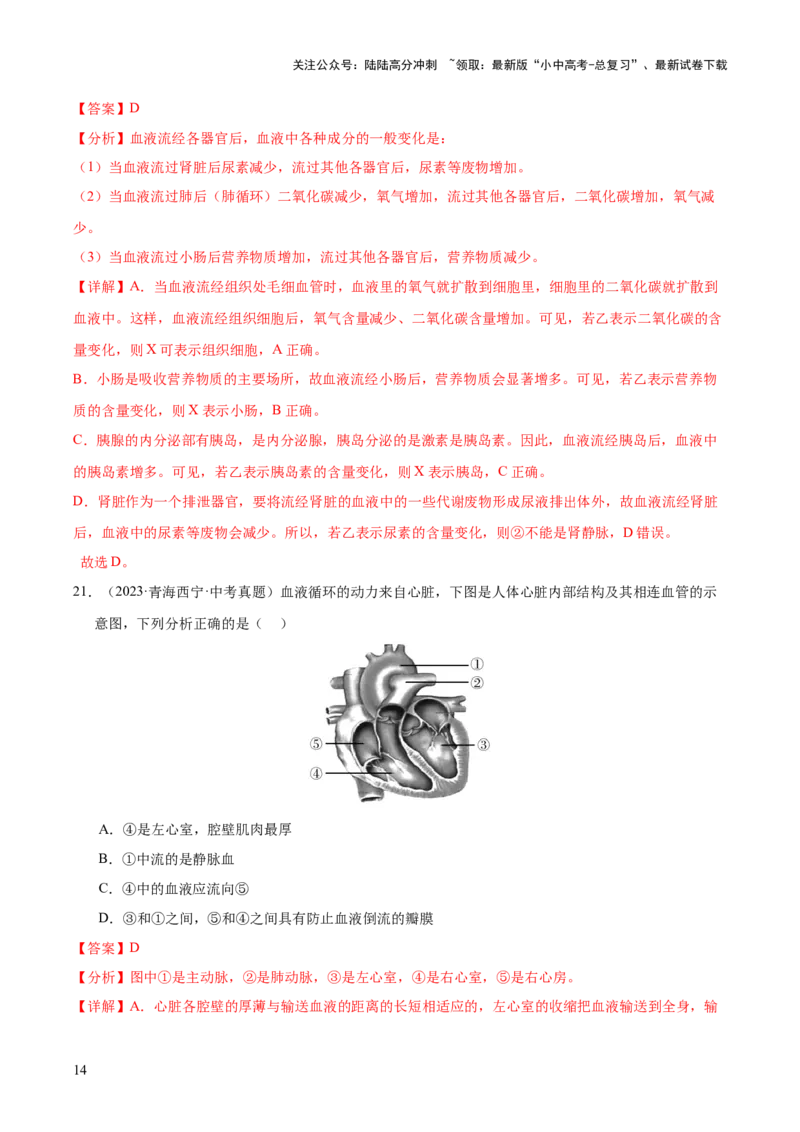 专题06人体内物质的运输及废物的排出（全国通用）（解析版）_02中考总复习（2026版更新中）_08-生物-中考总复习_2026年中考复习（更新中）