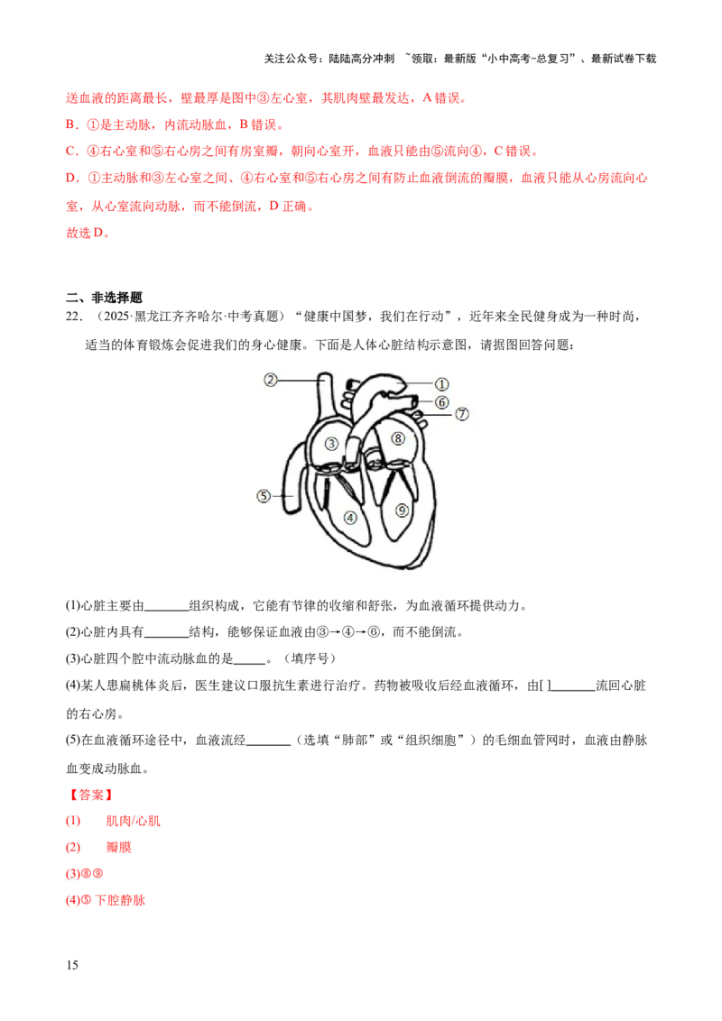 专题06人体内物质的运输及废物的排出（全国通用）（解析版）_02中考总复习（2026版更新中）_08-生物-中考总复习_2026年中考复习（更新中）