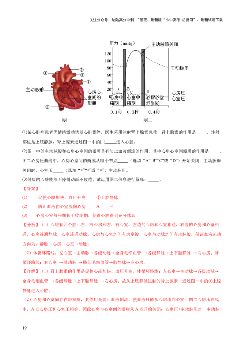 专题06人体内物质的运输及废物的排出（全国通用）（解析版）_02中考总复习（2026版更新中）_08-生物-中考总复习_2026年中考复习（更新中）