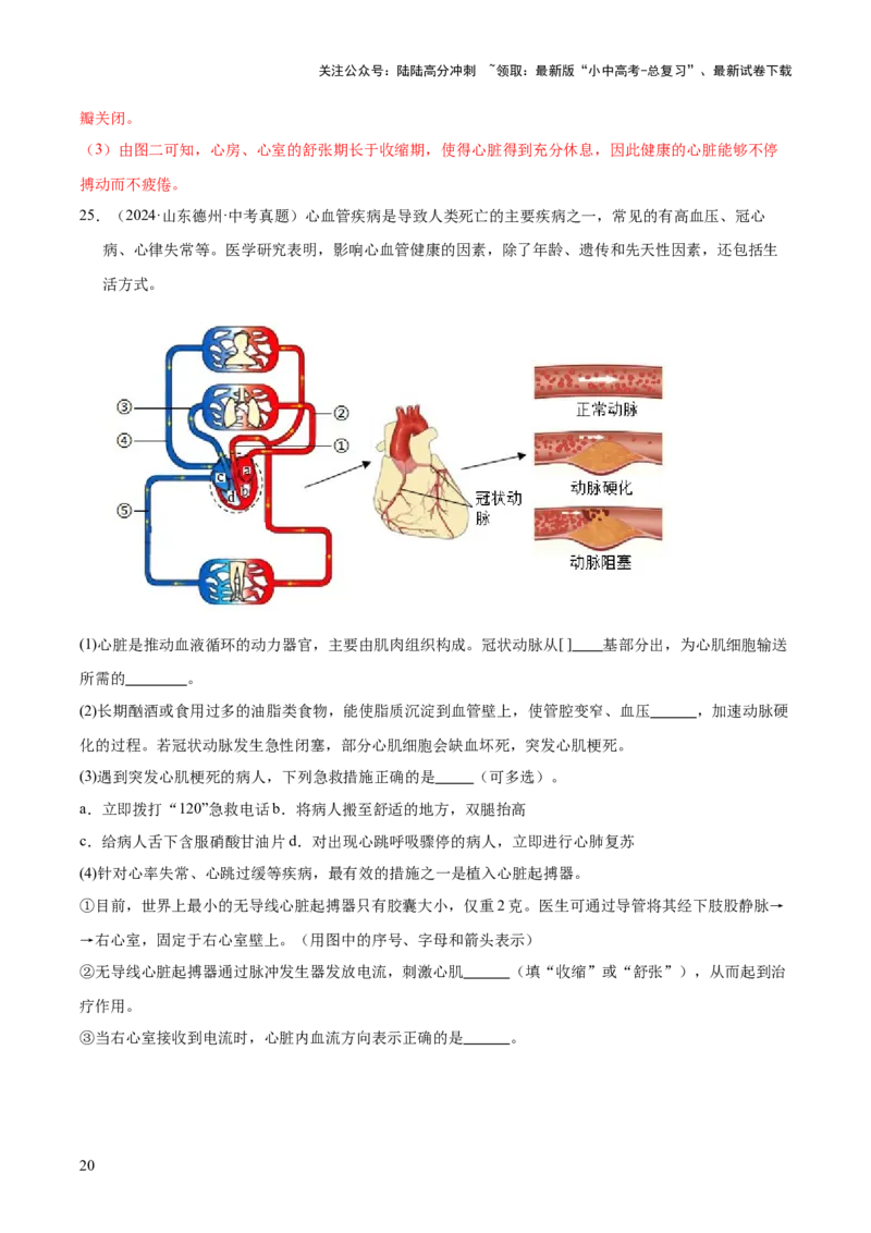 专题06人体内物质的运输及废物的排出（全国通用）（解析版）_02中考总复习（2026版更新中）_08-生物-中考总复习_2026年中考复习（更新中）