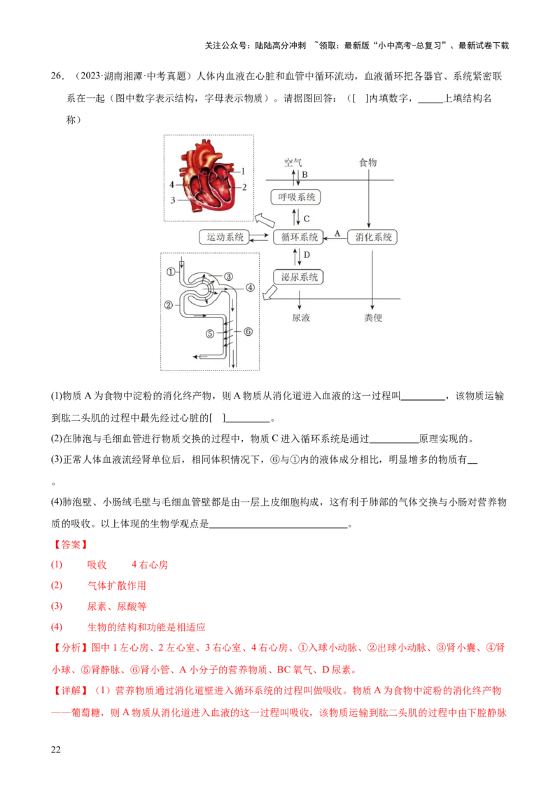 专题06人体内物质的运输及废物的排出（全国通用）（解析版）_02中考总复习（2026版更新中）_08-生物-中考总复习_2026年中考复习（更新中）