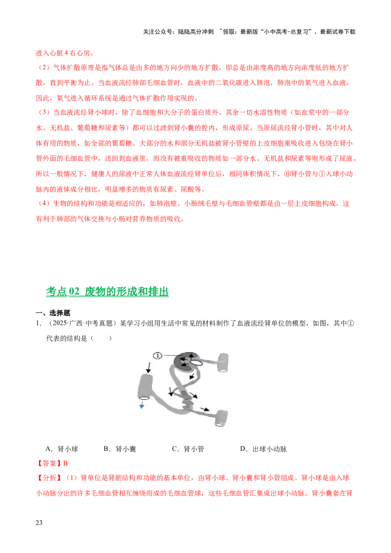 专题06人体内物质的运输及废物的排出（全国通用）（解析版）_02中考总复习（2026版更新中）_08-生物-中考总复习_2026年中考复习（更新中）