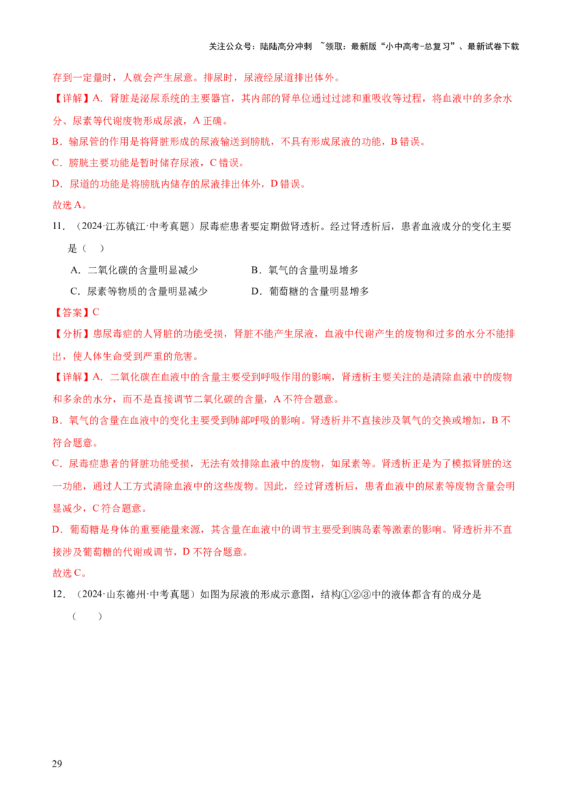 专题06人体内物质的运输及废物的排出（全国通用）（解析版）_02中考总复习（2026版更新中）_08-生物-中考总复习_2026年中考复习（更新中）