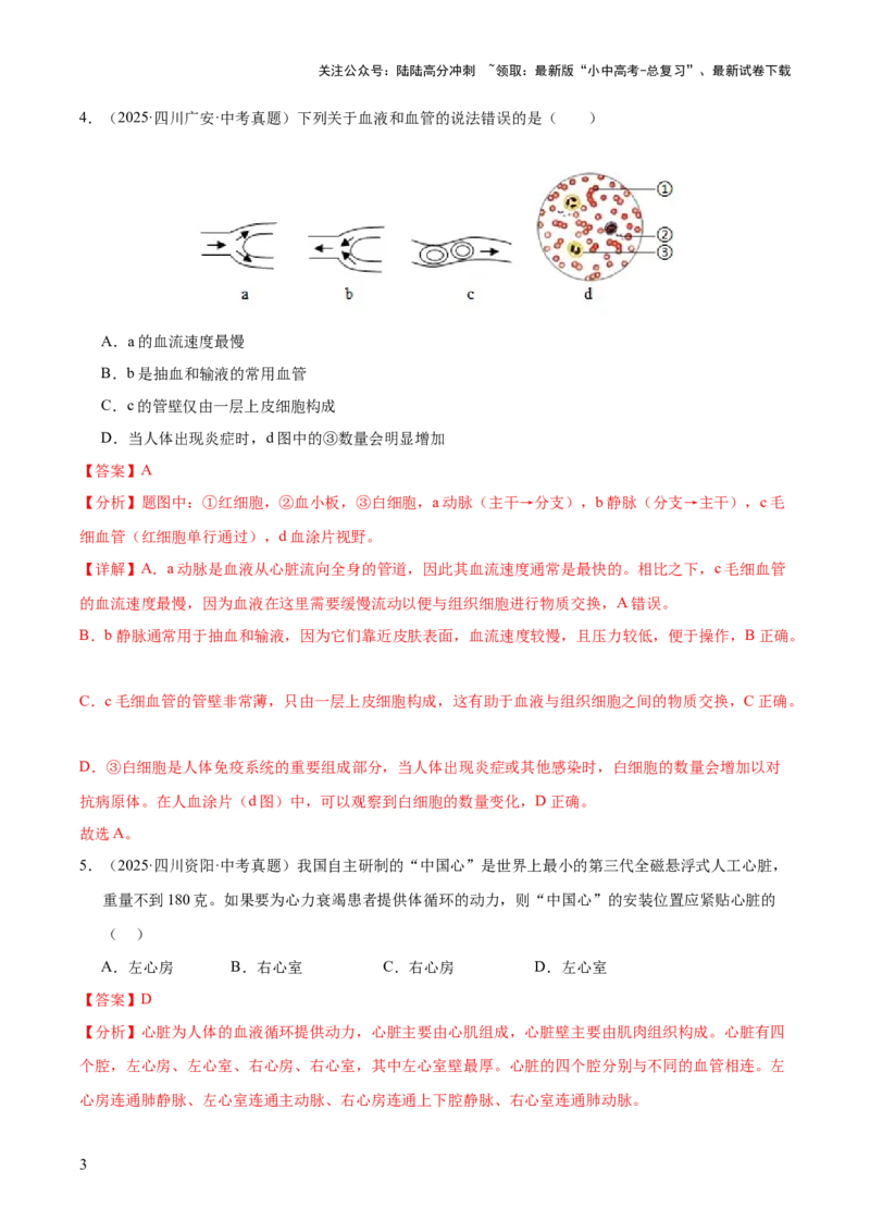 专题06人体内物质的运输及废物的排出（全国通用）（解析版）_02中考总复习（2026版更新中）_08-生物-中考总复习_2026年中考复习（更新中）