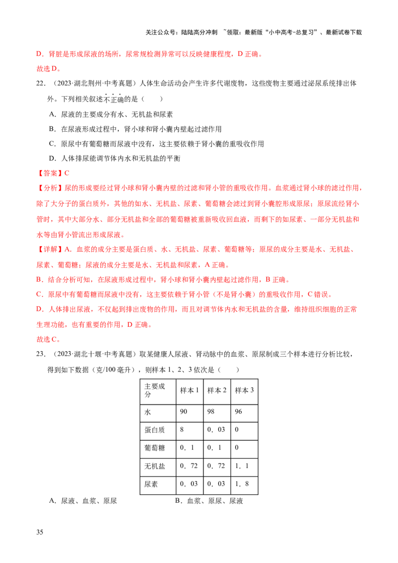 专题06人体内物质的运输及废物的排出（全国通用）（解析版）_02中考总复习（2026版更新中）_08-生物-中考总复习_2026年中考复习（更新中）