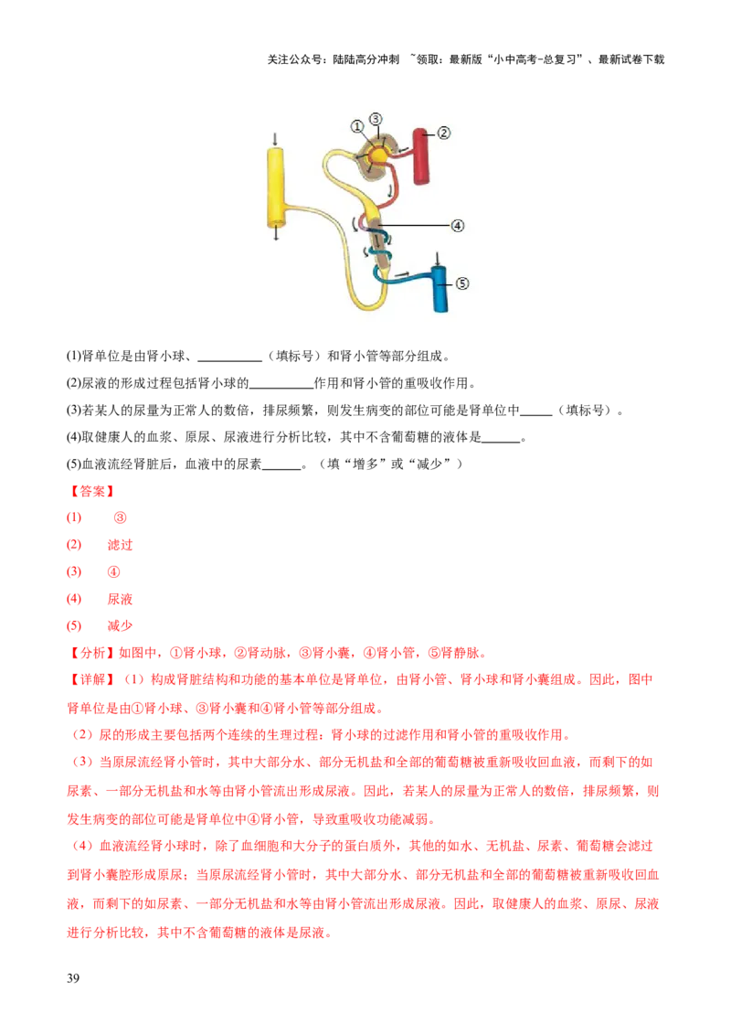 专题06人体内物质的运输及废物的排出（全国通用）（解析版）_02中考总复习（2026版更新中）_08-生物-中考总复习_2026年中考复习（更新中）