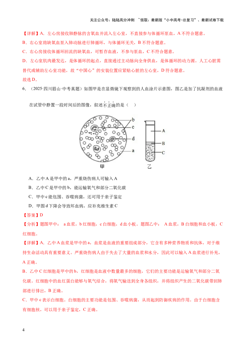 专题06人体内物质的运输及废物的排出（全国通用）（解析版）_02中考总复习（2026版更新中）_08-生物-中考总复习_2026年中考复习（更新中）