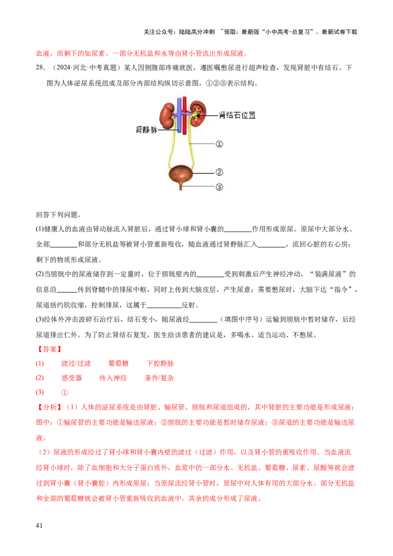 专题06人体内物质的运输及废物的排出（全国通用）（解析版）_02中考总复习（2026版更新中）_08-生物-中考总复习_2026年中考复习（更新中）