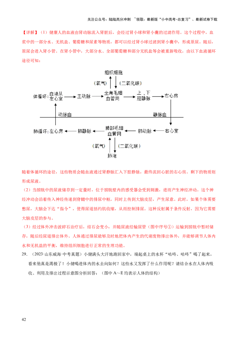 专题06人体内物质的运输及废物的排出（全国通用）（解析版）_02中考总复习（2026版更新中）_08-生物-中考总复习_2026年中考复习（更新中）