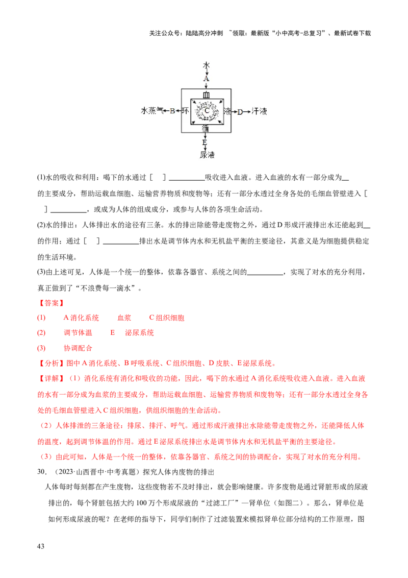 专题06人体内物质的运输及废物的排出（全国通用）（解析版）_02中考总复习（2026版更新中）_08-生物-中考总复习_2026年中考复习（更新中）