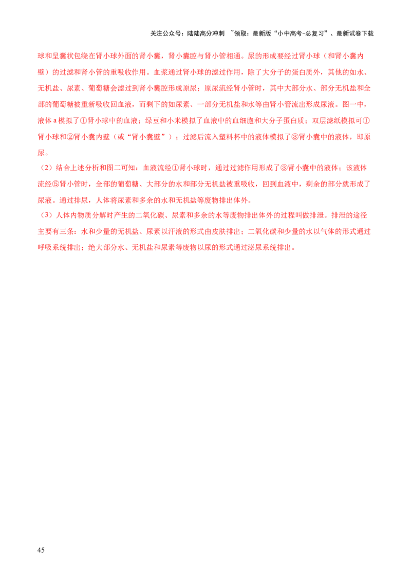 专题06人体内物质的运输及废物的排出（全国通用）（解析版）_02中考总复习（2026版更新中）_08-生物-中考总复习_2026年中考复习（更新中）
