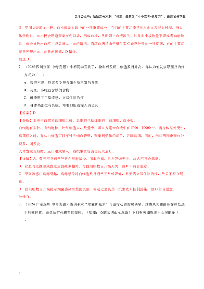 专题06人体内物质的运输及废物的排出（全国通用）（解析版）_02中考总复习（2026版更新中）_08-生物-中考总复习_2026年中考复习（更新中）