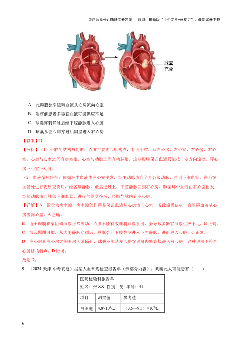 专题06人体内物质的运输及废物的排出（全国通用）（解析版）_02中考总复习（2026版更新中）_08-生物-中考总复习_2026年中考复习（更新中）