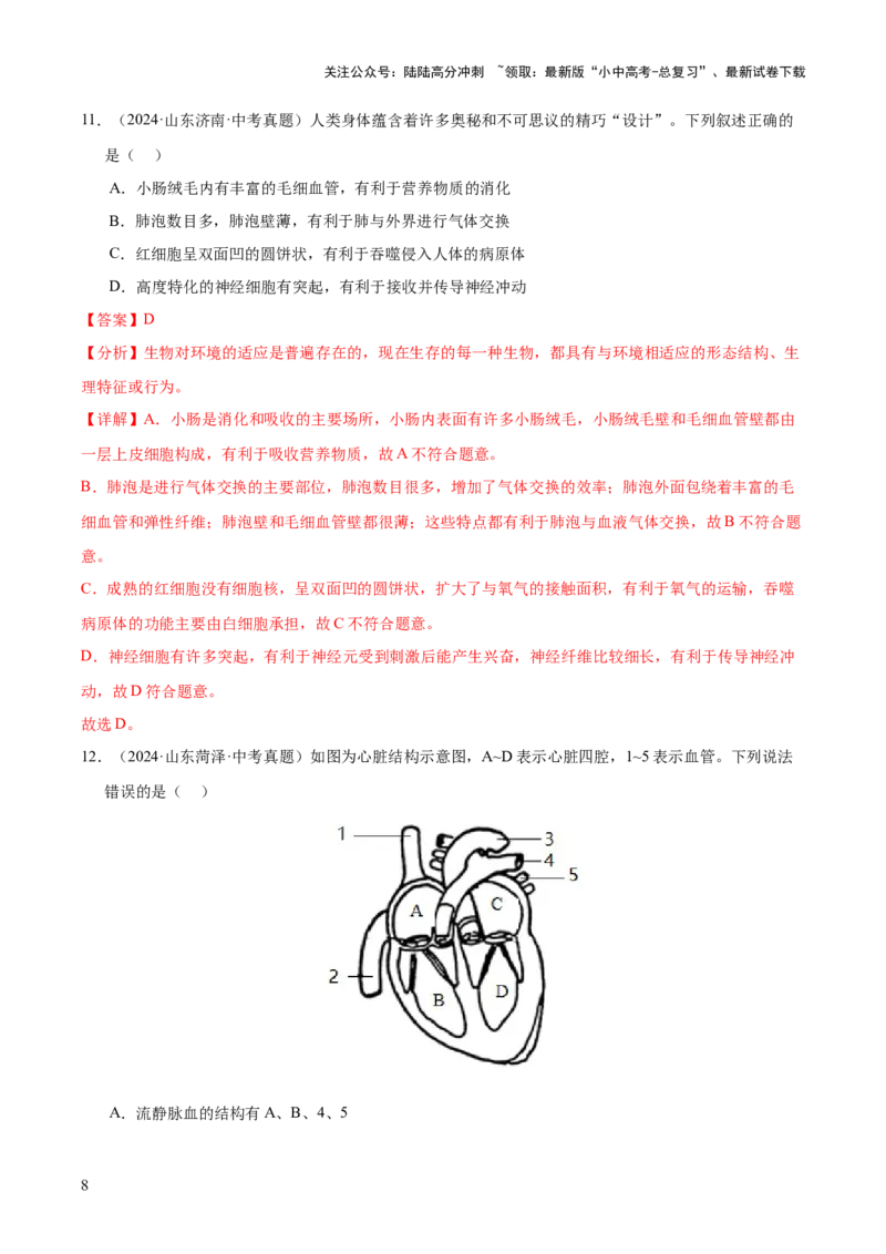 专题06人体内物质的运输及废物的排出（全国通用）（解析版）_02中考总复习（2026版更新中）_08-生物-中考总复习_2026年中考复习（更新中）