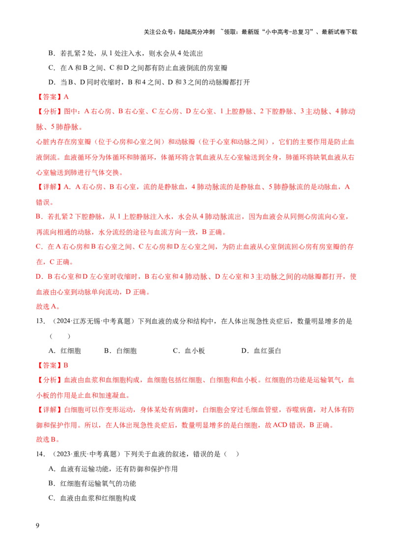 专题06人体内物质的运输及废物的排出（全国通用）（解析版）_02中考总复习（2026版更新中）_08-生物-中考总复习_2026年中考复习（更新中）