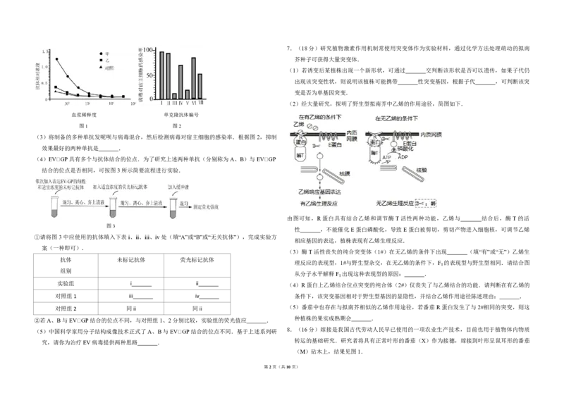 2016年北京市高考生物试卷（解析版）_全国卷+地方卷_6.生物_1.生物高考真题试卷_2008-2020年_地方卷_北京高考生物08-21_A3word版_PDF版(赠送)