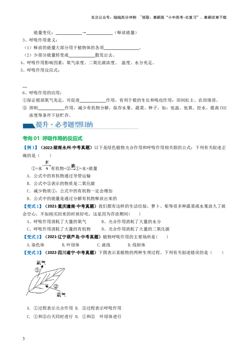 专题08绿色植物的呼吸作用（讲义）（原卷版）_02中考总复习（2026版更新中）_08-生物-中考总复习_2024年中考复习资料_一轮复习_❤2024年中考生物一轮复习讲练测（全国通用）_讲义