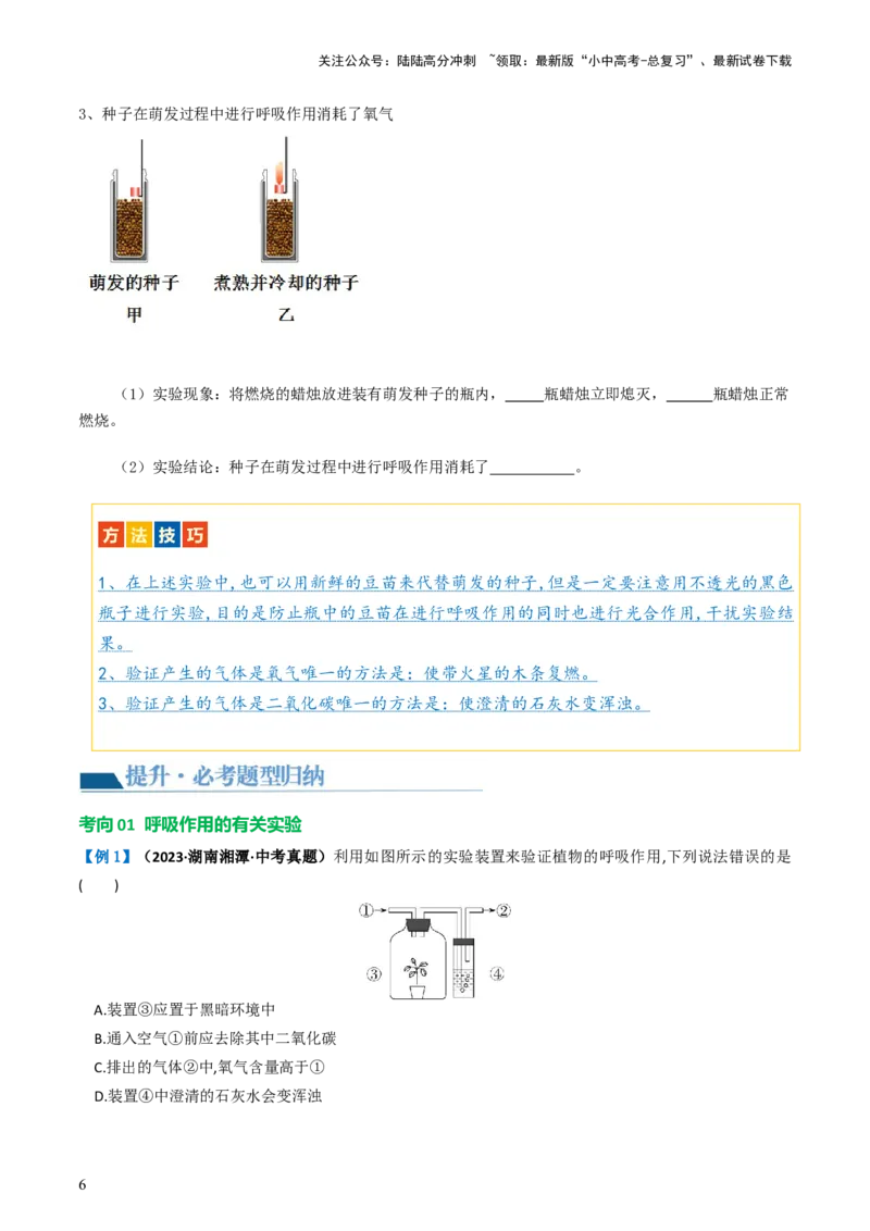 专题08绿色植物的呼吸作用（讲义）（原卷版）_02中考总复习（2026版更新中）_08-生物-中考总复习_2024年中考复习资料_一轮复习_❤2024年中考生物一轮复习讲练测（全国通用）_讲义