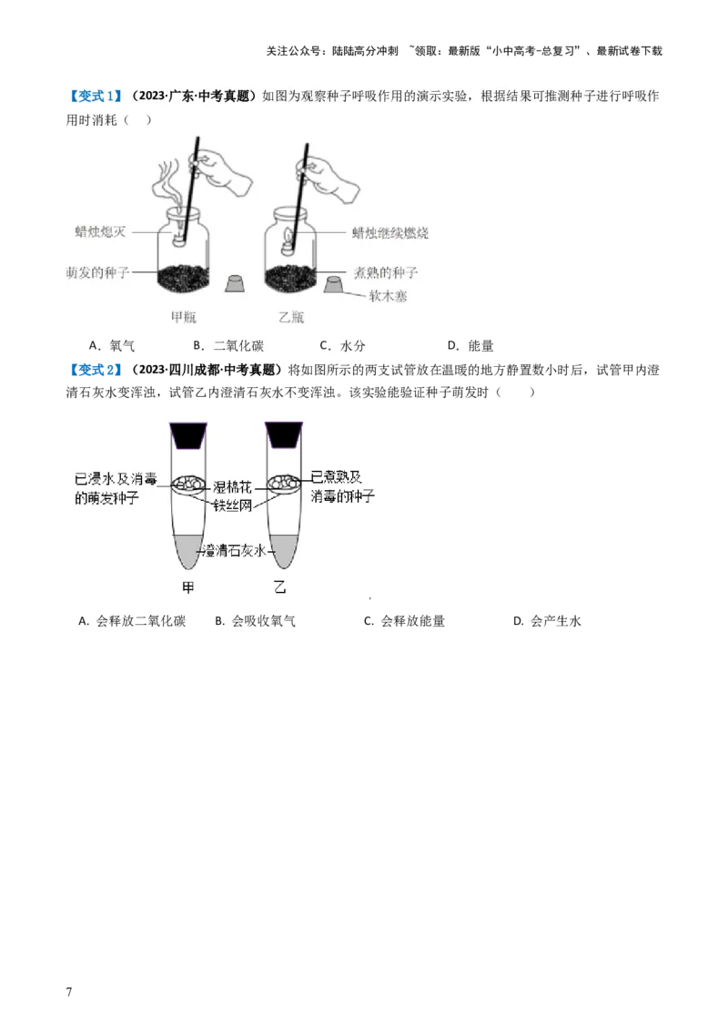 专题08绿色植物的呼吸作用（讲义）（原卷版）_02中考总复习（2026版更新中）_08-生物-中考总复习_2024年中考复习资料_一轮复习_❤2024年中考生物一轮复习讲练测（全国通用）_讲义