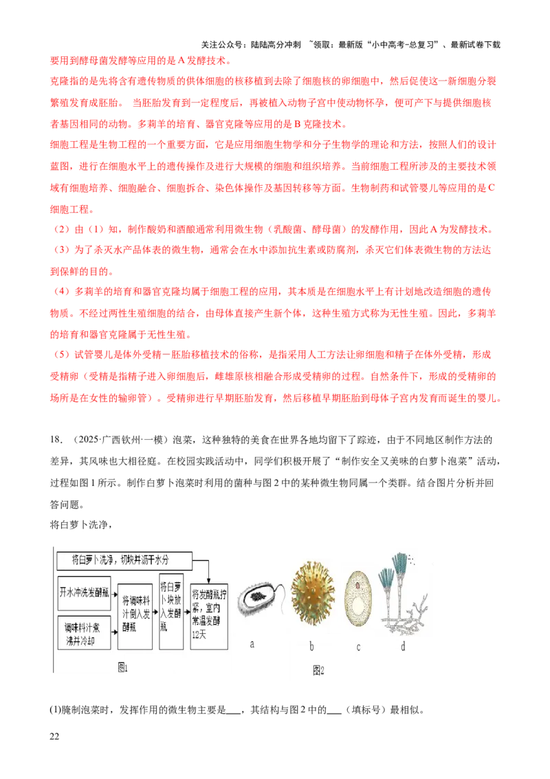 专题08生物技术（答题模板）（解析版）_02中考总复习（2026版更新中）_08-生物-中考总复习_2025中考复习资料_2025年中考生物答题方法模板