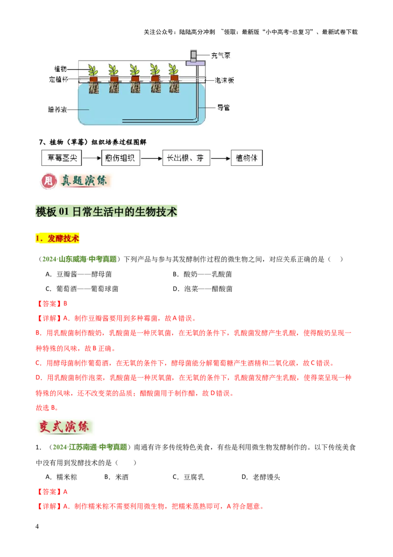 专题08生物技术（答题模板）（解析版）_02中考总复习（2026版更新中）_08-生物-中考总复习_2025中考复习资料_2025年中考生物答题方法模板