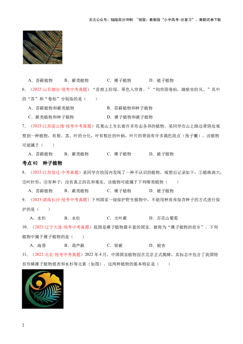 专题04生物圈中有哪些绿色植物（原卷版）_02中考总复习（2026版更新中）_08-生物-中考总复习_2024年中考复习资料_一轮复习_❤备战2024年中考生物一轮复习考点帮（全国通用）_练习