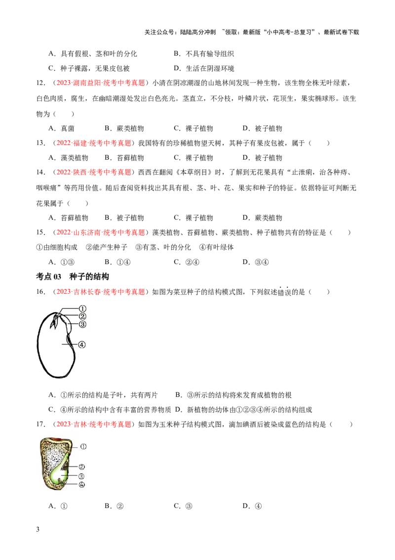 专题04生物圈中有哪些绿色植物（原卷版）_02中考总复习（2026版更新中）_08-生物-中考总复习_2024年中考复习资料_一轮复习_❤备战2024年中考生物一轮复习考点帮（全国通用）_练习