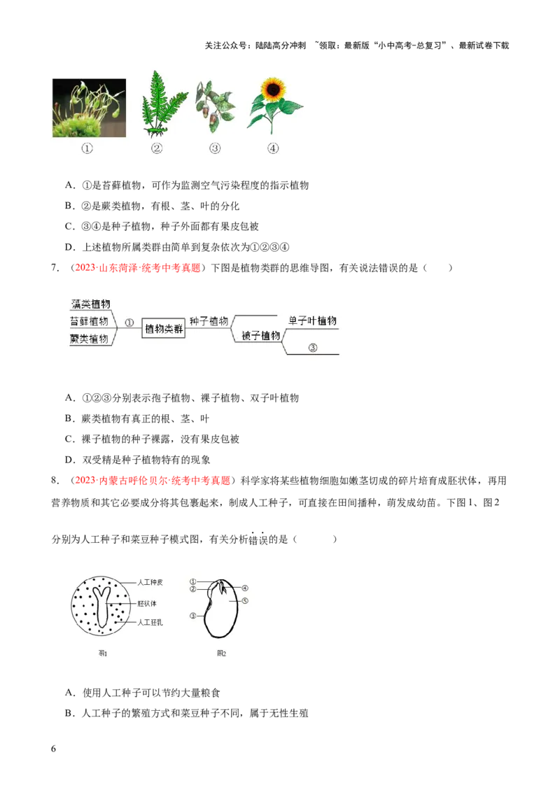 专题04生物圈中有哪些绿色植物（原卷版）_02中考总复习（2026版更新中）_08-生物-中考总复习_2024年中考复习资料_一轮复习_❤备战2024年中考生物一轮复习考点帮（全国通用）_练习