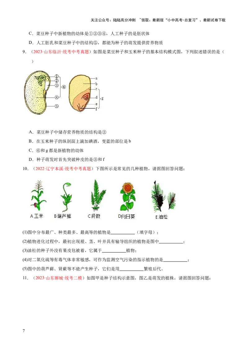专题04生物圈中有哪些绿色植物（原卷版）_02中考总复习（2026版更新中）_08-生物-中考总复习_2024年中考复习资料_一轮复习_❤备战2024年中考生物一轮复习考点帮（全国通用）_练习