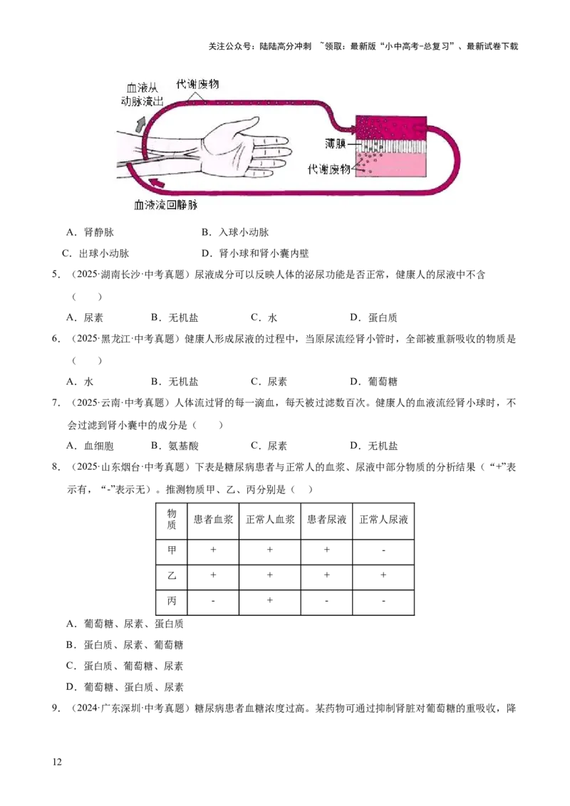 专题06人体内物质的运输及废物的排出（全国通用）（原卷版）_02中考总复习（2026版更新中）_08-生物-中考总复习_2026年中考复习（更新中）