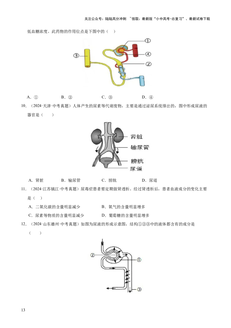 专题06人体内物质的运输及废物的排出（全国通用）（原卷版）_02中考总复习（2026版更新中）_08-生物-中考总复习_2026年中考复习（更新中）