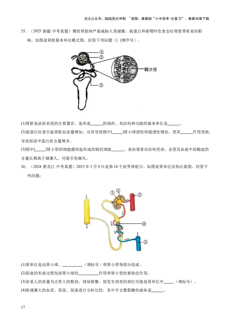 专题06人体内物质的运输及废物的排出（全国通用）（原卷版）_02中考总复习（2026版更新中）_08-生物-中考总复习_2026年中考复习（更新中）