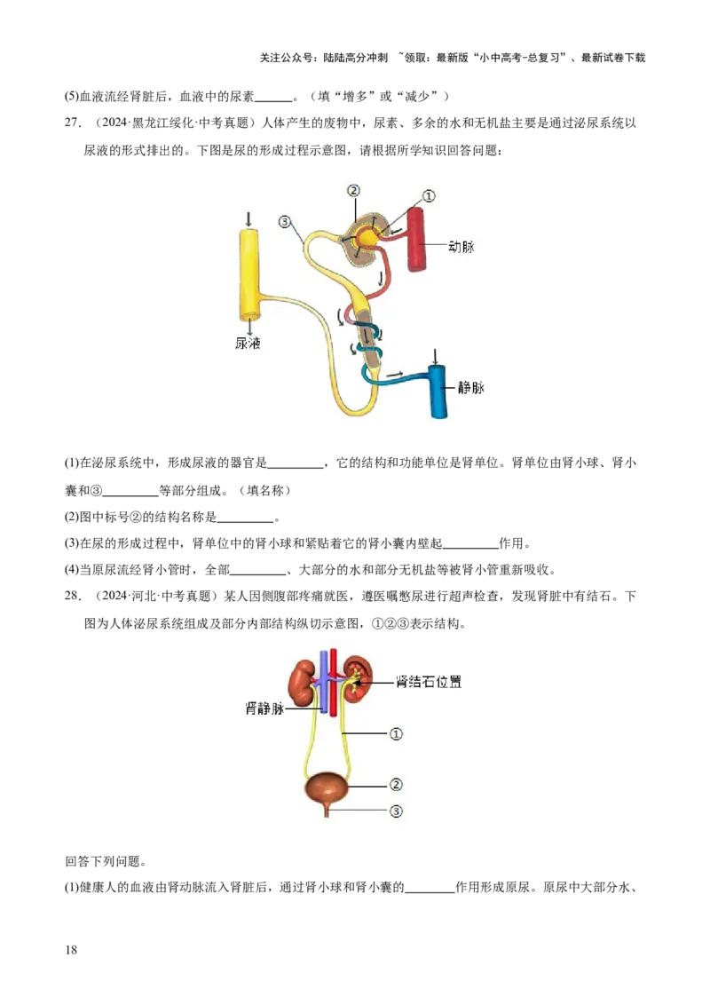 专题06人体内物质的运输及废物的排出（全国通用）（原卷版）_02中考总复习（2026版更新中）_08-生物-中考总复习_2026年中考复习（更新中）