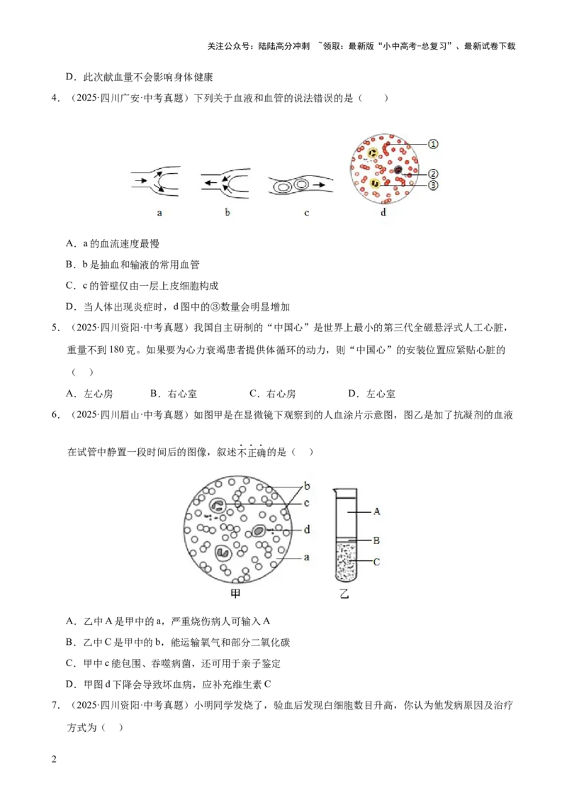 专题06人体内物质的运输及废物的排出（全国通用）（原卷版）_02中考总复习（2026版更新中）_08-生物-中考总复习_2026年中考复习（更新中）